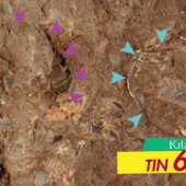 Hóa thạch trứng khủng long nhỏ nhất thế giới tại Hyogo